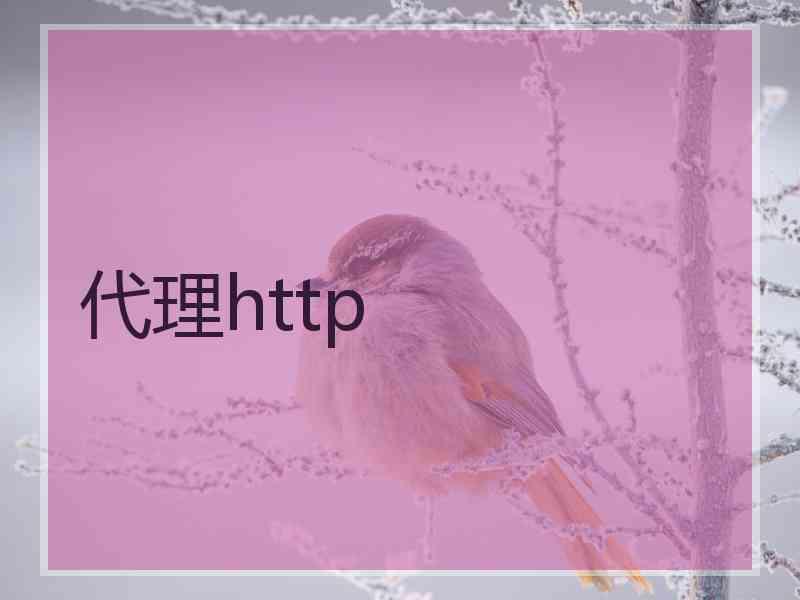 代理http